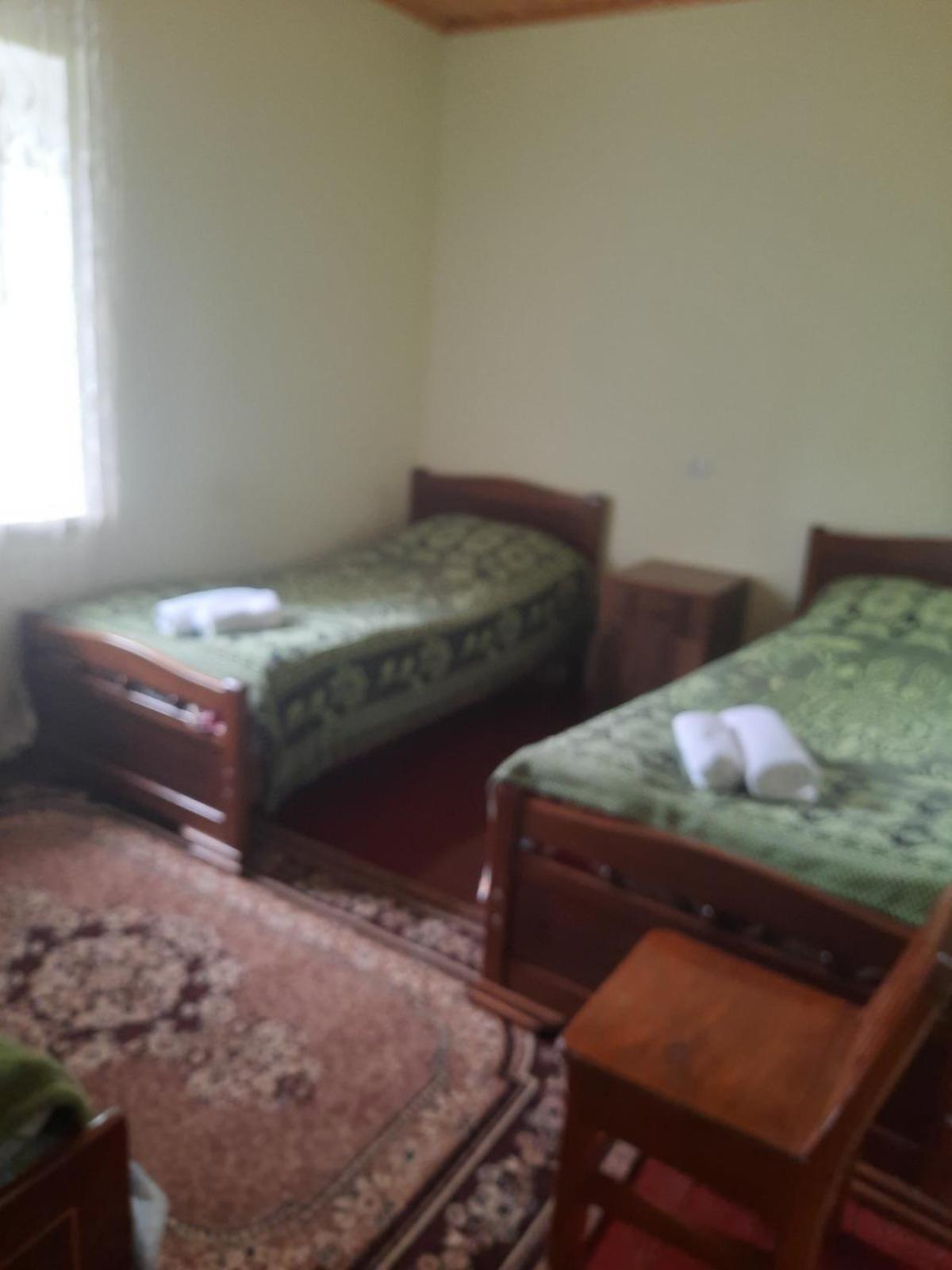 Guesthouse "Megi" メスティア エクステリア 写真